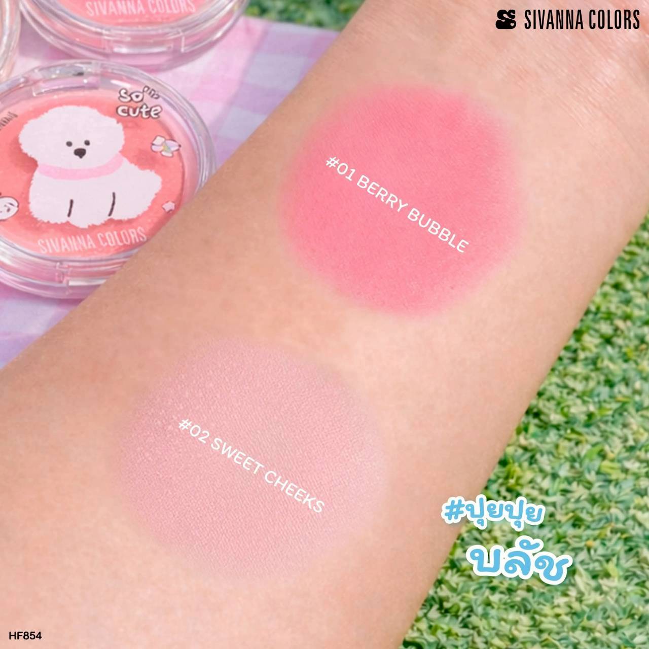 HF854 Sivanna Colors Carousel Blush บลัชออนปุยปุ ซีเว่นน่า คัลเลอร์ส แคระระเชิล บลัช เม็ดสีชัด
